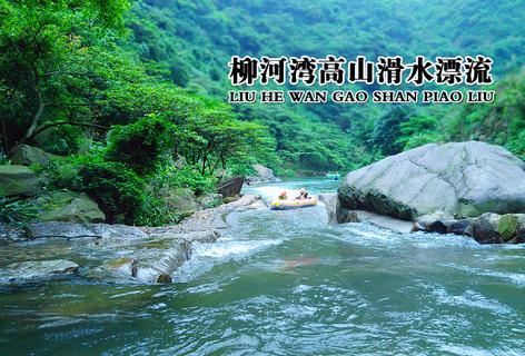 精灵格蕾